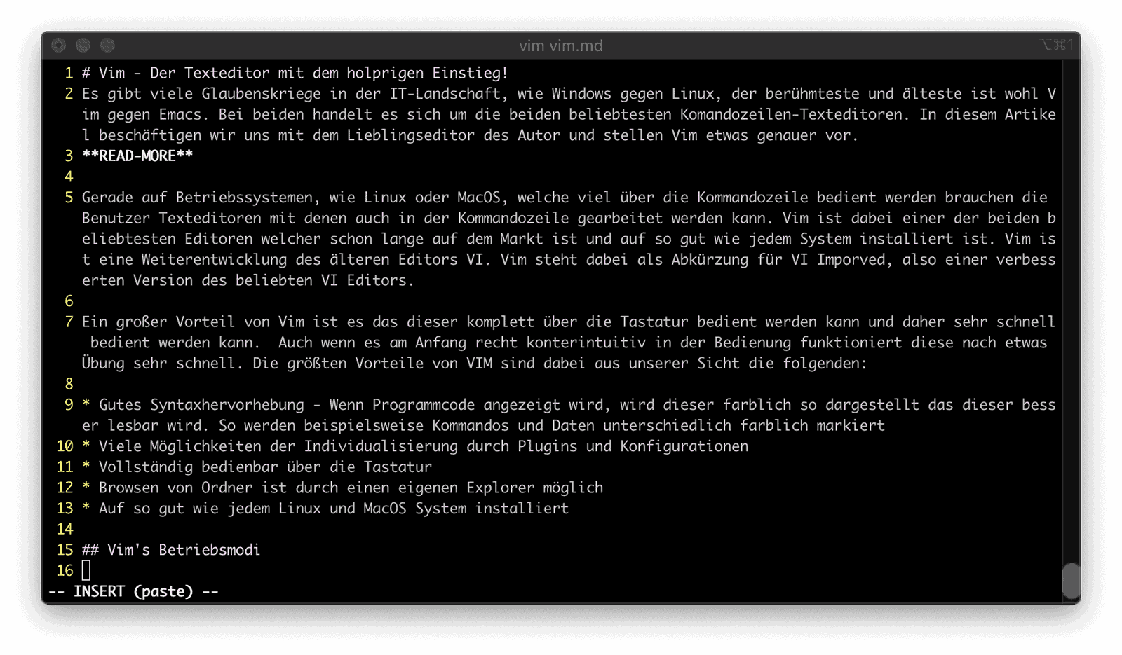 Vim im Betrieb